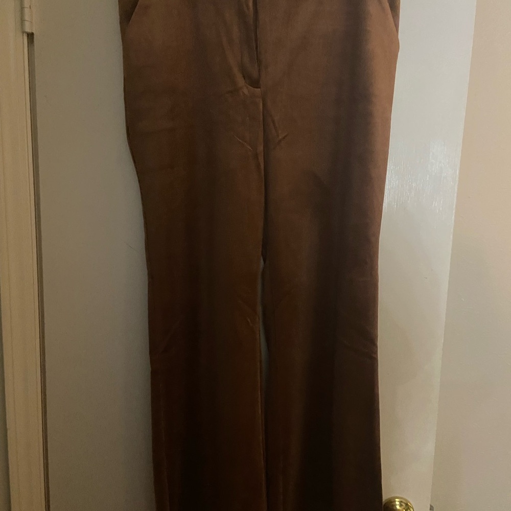 Express Rich Brown Women's Trousers Long
